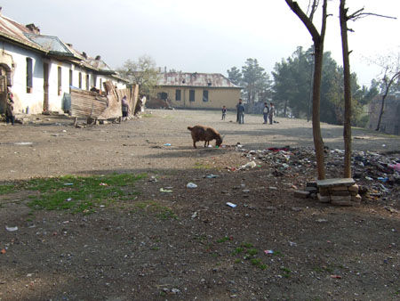 2006_1121bureaukabul20017